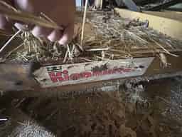 King Kutter 5 foot Image