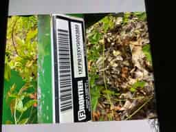 2016 Frontier PB1002 Image