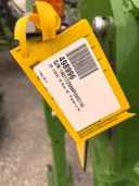 2024 John Deere 1725 CCS Image