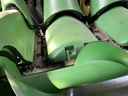 2012 John Deere 612C Image