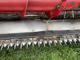 2010 Case IH 2020-20F Image