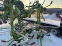 2016 Claas VOLTO 800 TH Image