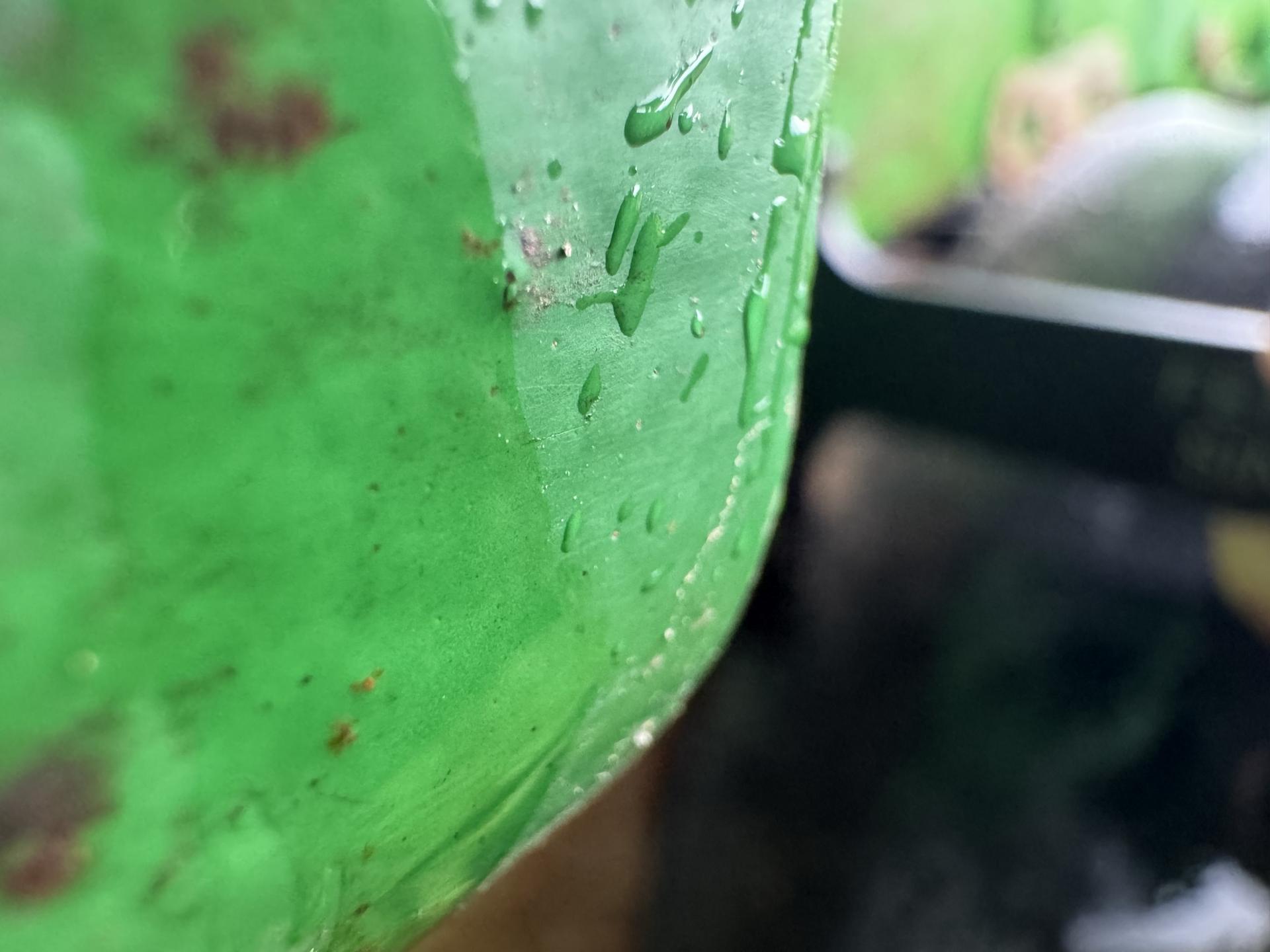2015 John Deere 1795 Image