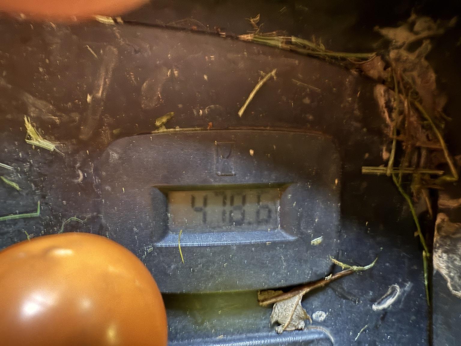 2009 John Deere Z445 Image