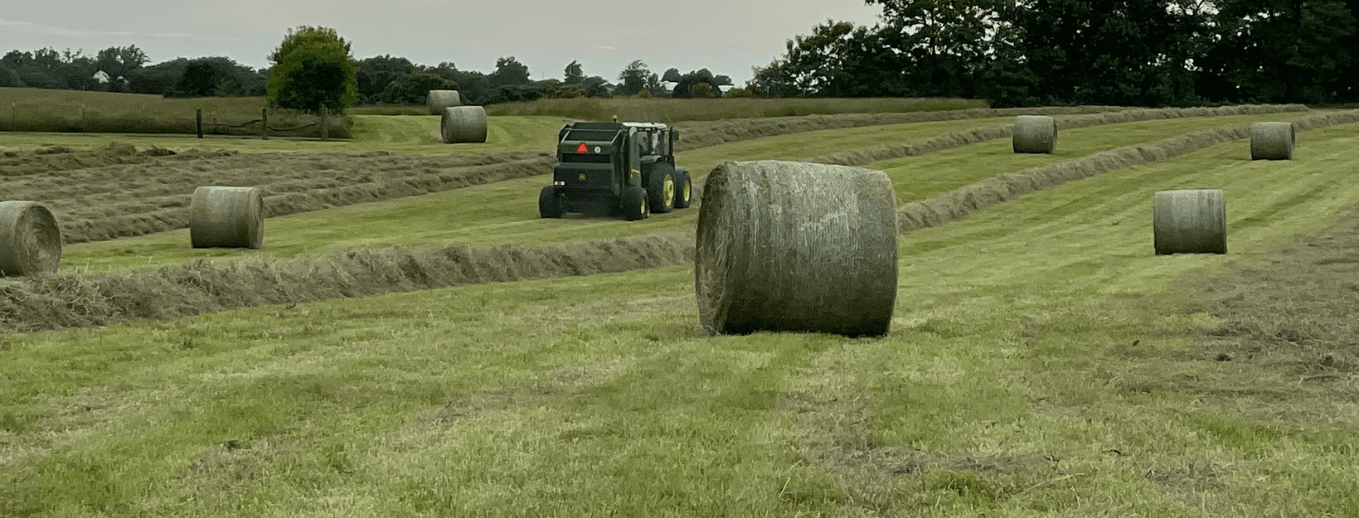 Cut Cost, Not Quality